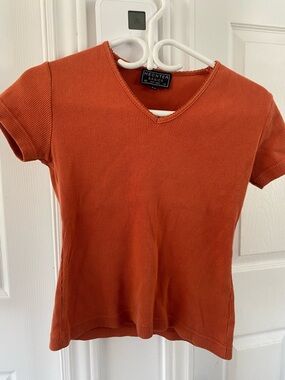 ECHT Ribbed V-Neck Short Sleeve Top in Rust